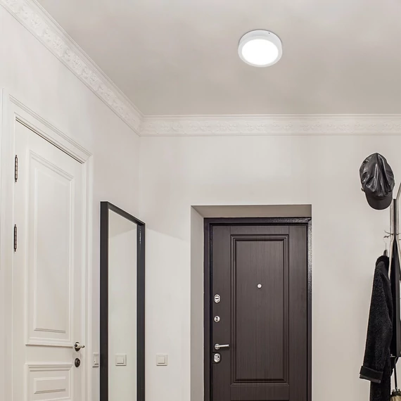 Rábalux Shaun beltéri mennyezeti led lámpa 24 W,fehér