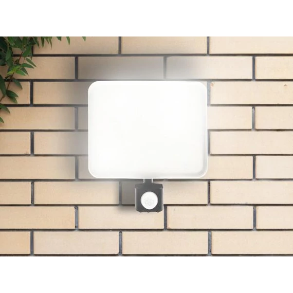 nedes LED reflektor érzékekővel 50W/4000K