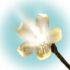 Kép 2/3 - home by Somogyi virágzó LED cseresznyefa dekoráció